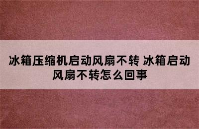 冰箱压缩机启动风扇不转 冰箱启动风扇不转怎么回事